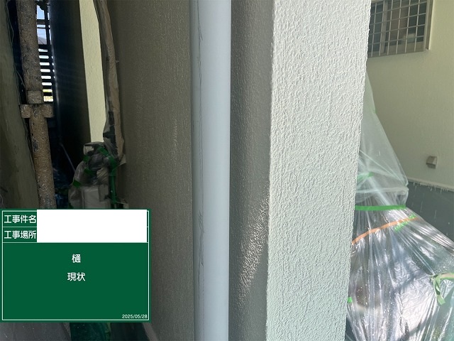 樋現状